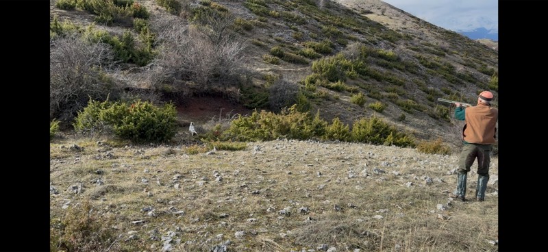 Caccia sui pendii montani