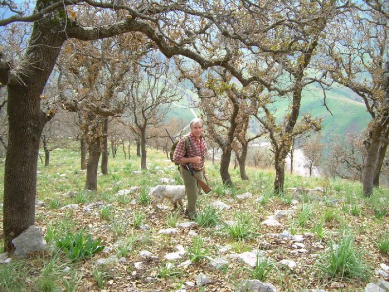 Bosco di querce