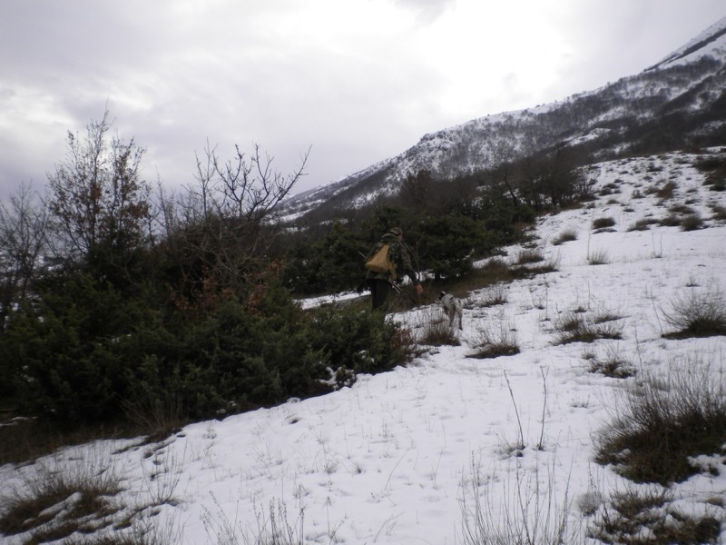 Colline innevate