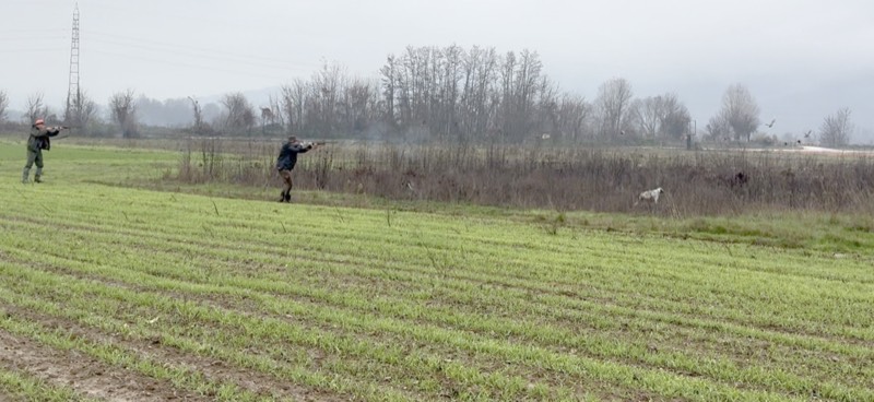 Fotografia dei territori di caccia Venalba