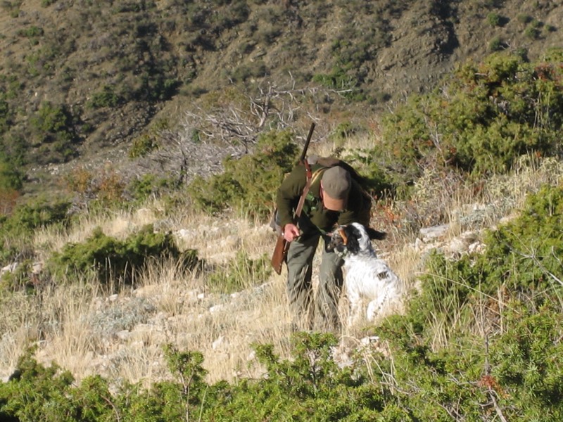Fotografia dei territori di caccia Venalba