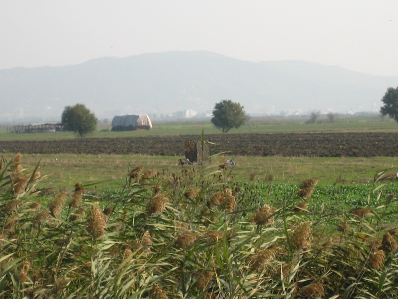 Fotografia dei territori di caccia Venalba
