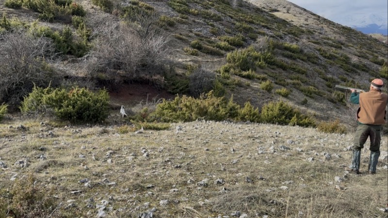 Fotografia dei territori di caccia Venalba