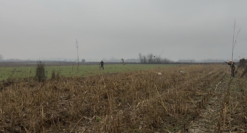Fotografia dei territori di caccia Venalba