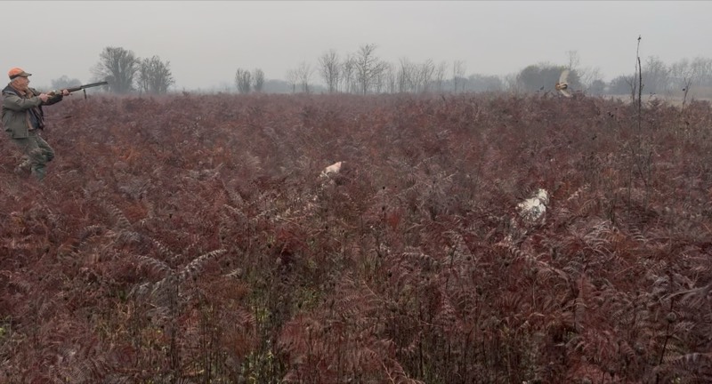 Fotografia dei territori di caccia Venalba