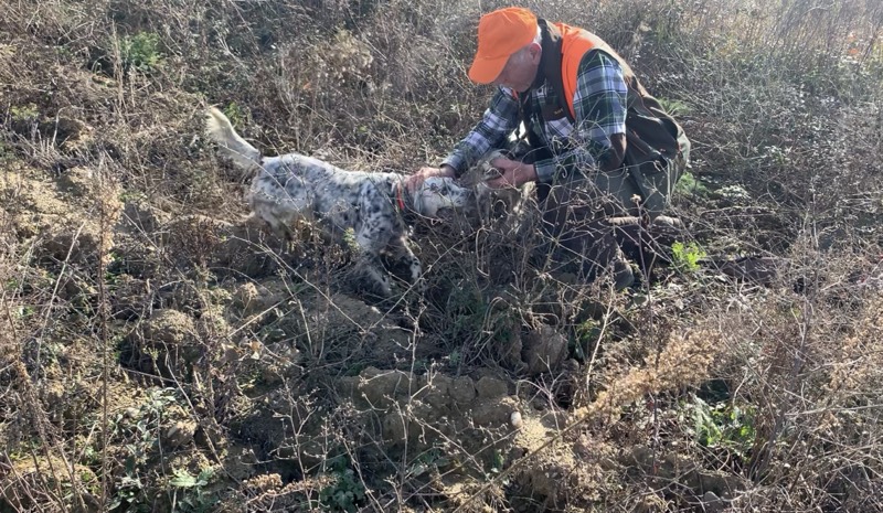 Fotografia dei territori di caccia Venalba