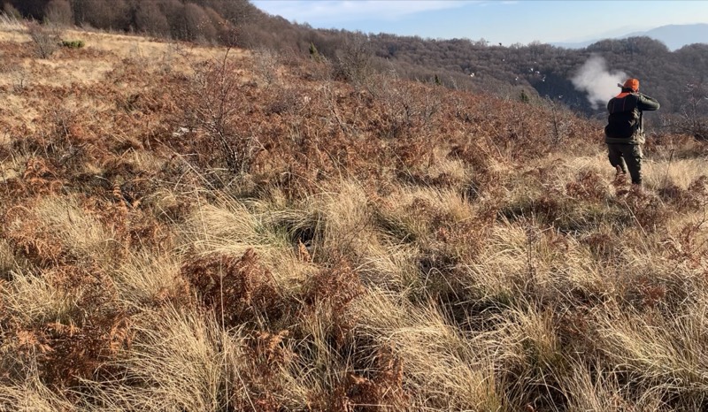 Fotografia dei territori di caccia Venalba