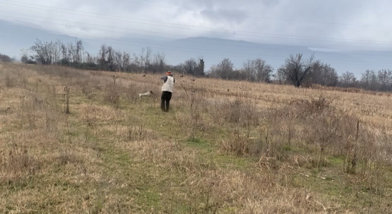 Fotografia dei territori di caccia Venalba