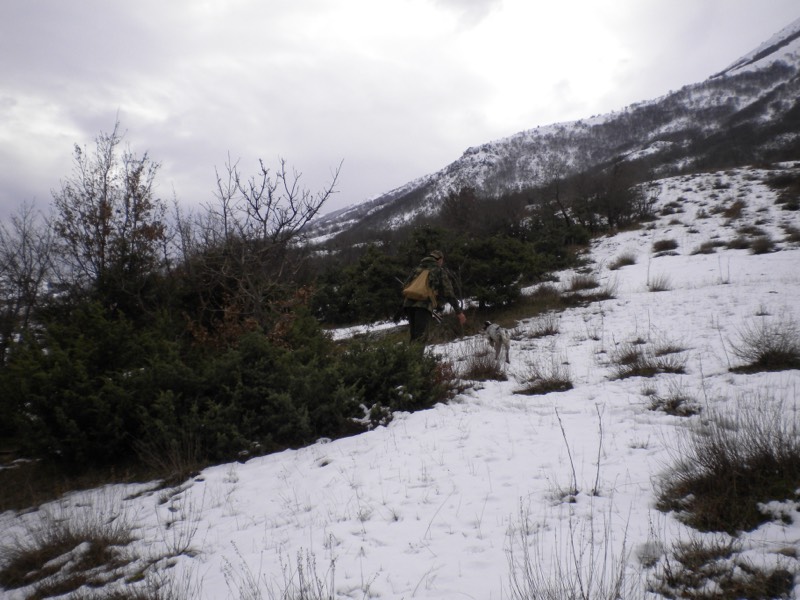Fotografia dei territori di caccia Venalba