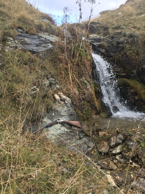 Cascata di montagna