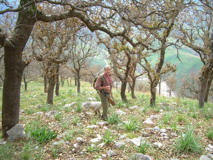 Bosco di querce
