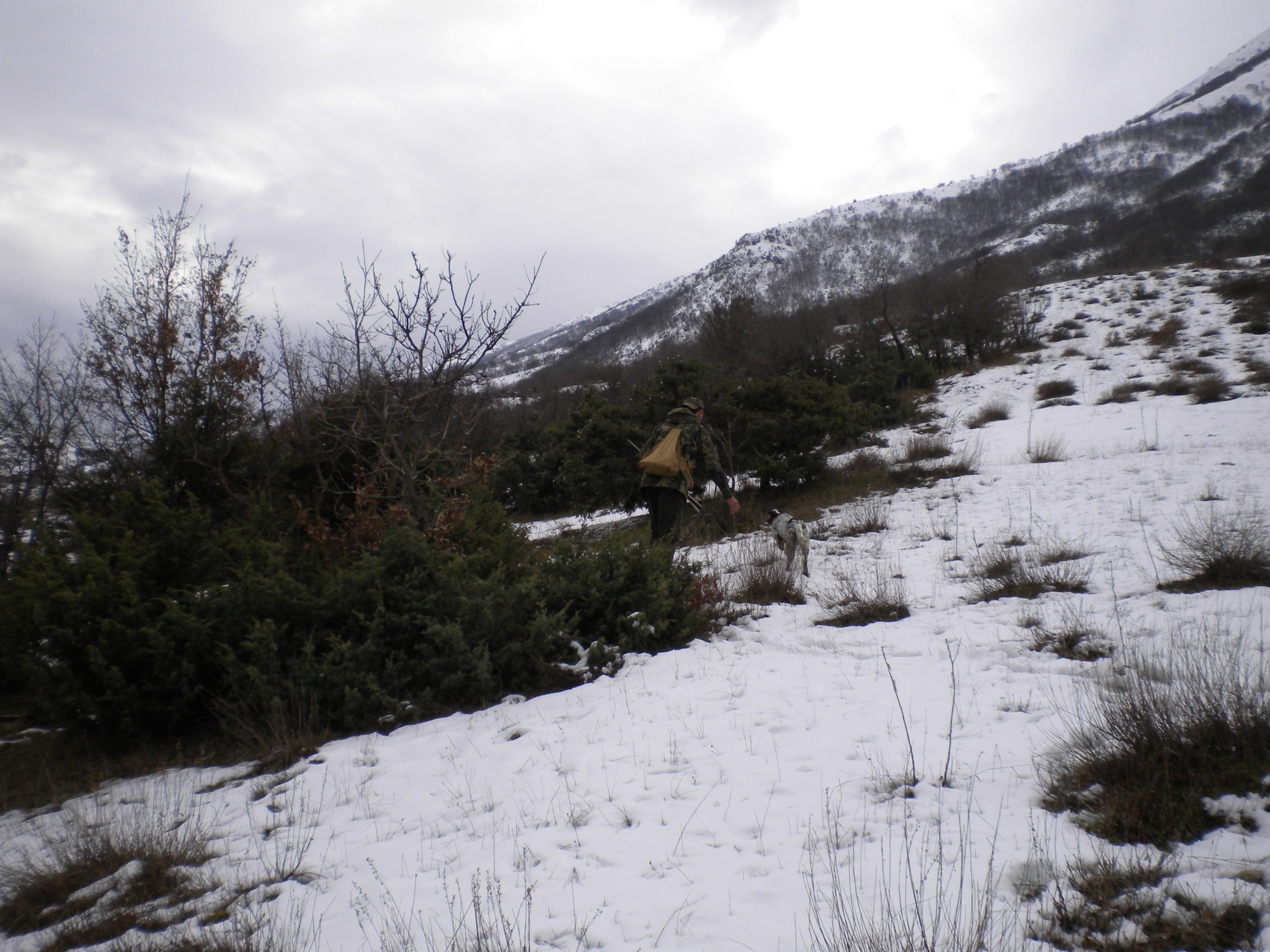 Colline innevate